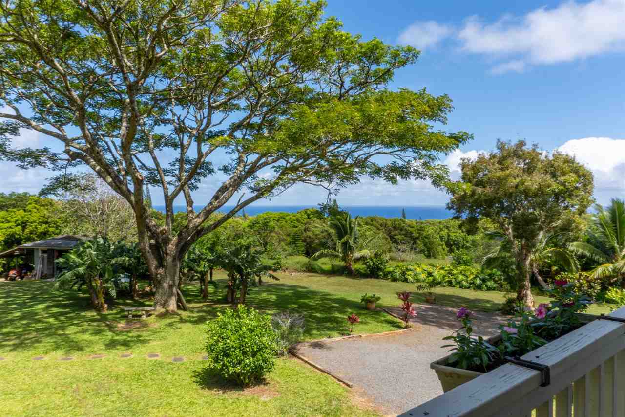 475 Haumana Road Haiku, HI 96708 - Photo 18 of 30 a view of a garden with a tree