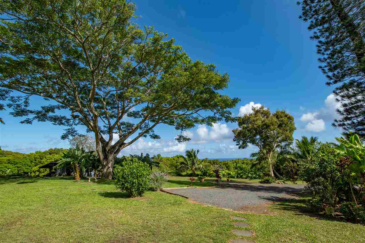475 Haumana Road Haiku, HI 96708 - Photo 28 of 30 a view of a garden with a building in the background