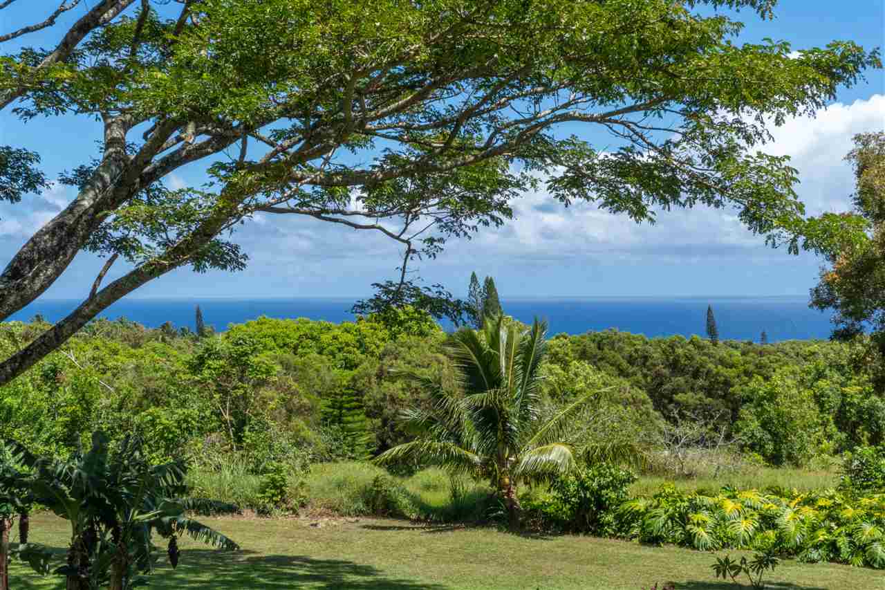 475 Haumana Road Haiku, HI 96708 - Photo 3 of 30 a view of a garden
