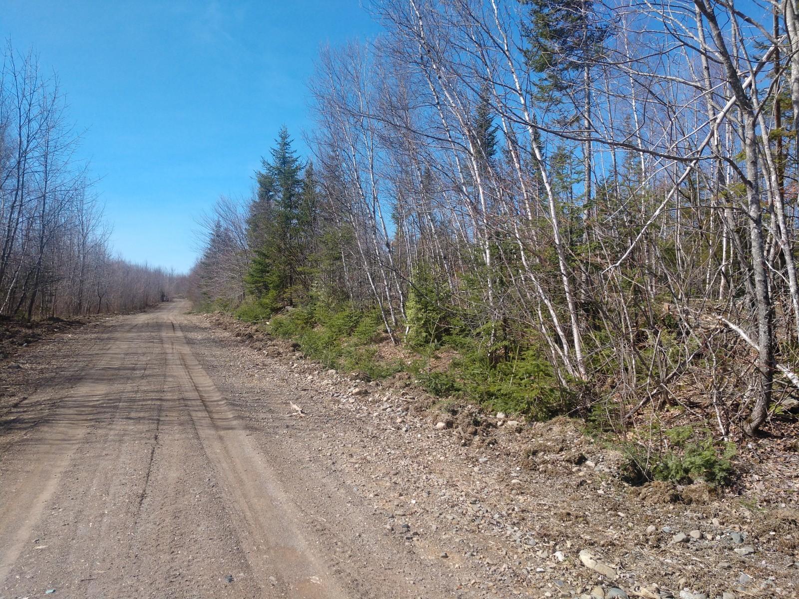 -ff Sheepskin Road Carroll Plt, ME 04487 - Photo 3 of 4 IMG_20190509_093303802