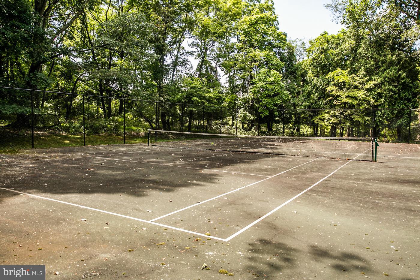 3651 Spring Valley Road Furlong, PA 18925 - Photo 13 of 66