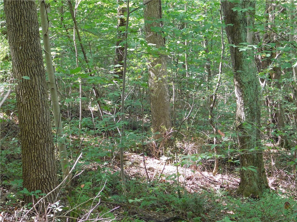 Fable Road Southwest Sherrodsville, OH 44675 - Photo 11 of 15