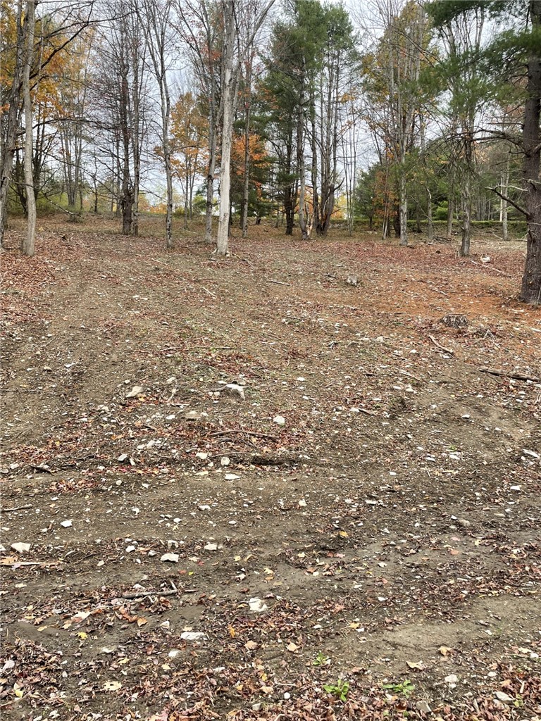 0 Parker Road Campbell, NY 14821 - Photo 5 of 9