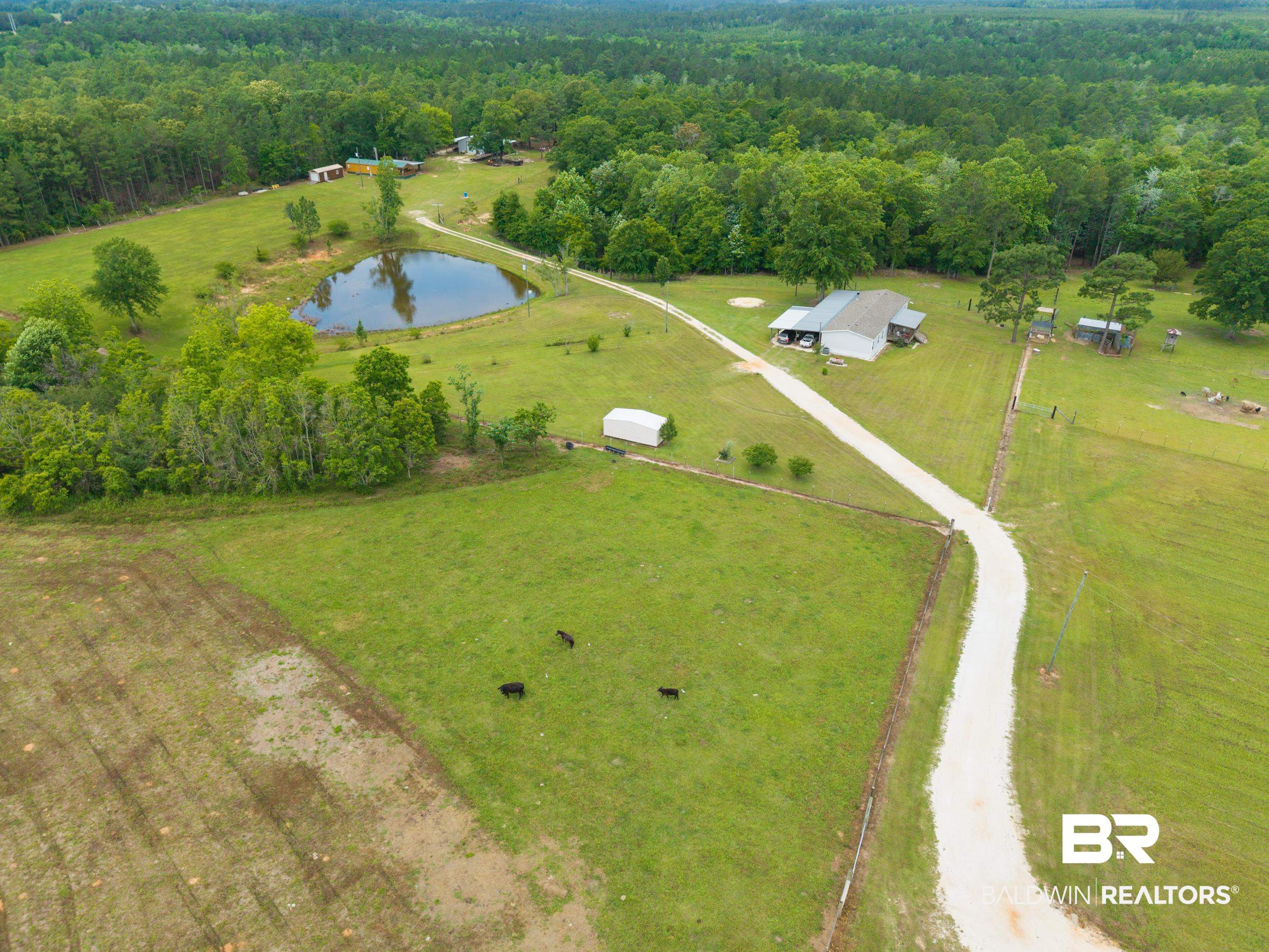 6725 Upper Creek Road Flomaton, AL 36441 - Photo 6 of 61 Drone / aerial view of a forest and a large body of water