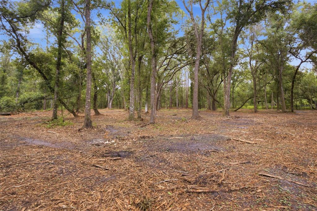 0 Old Dade City Road Kathleen, FL 33849 - Photo 22 of 29 Gallery Image 22