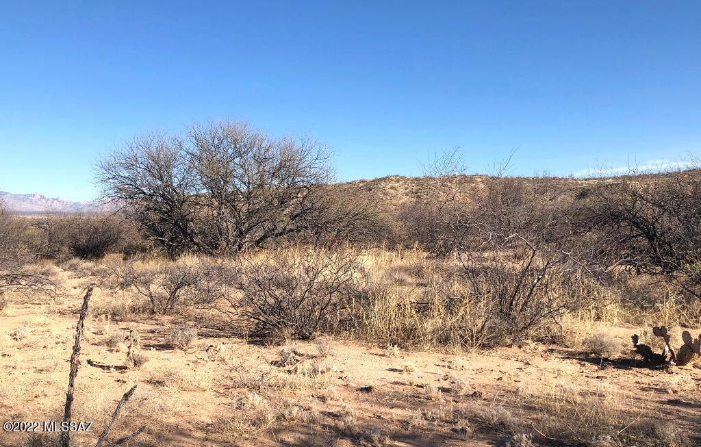 0 West Sullivan Road St. David, AZ 85630 - Photo 13 of 16