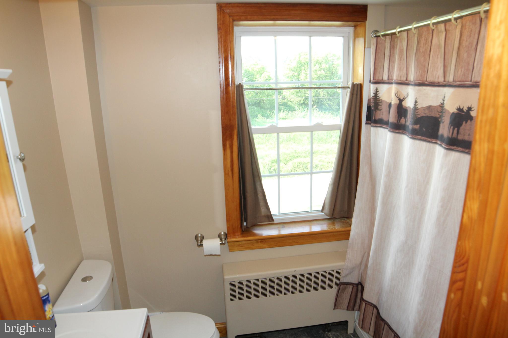 8132 Century Farms Road Felton, PA 17322 - Photo 43 of 56 Bathroom