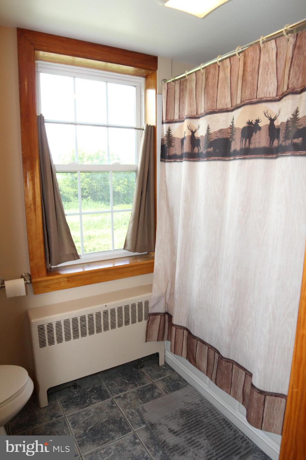 8132 Century Farms Road Felton, PA 17322 - Photo 44 of 56 Bathroom