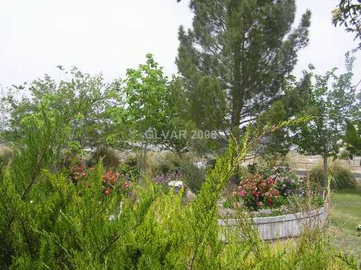 4581 Maple Road Pahrump, NV 89048 - Photo 3 of 7 Yard/Garden.