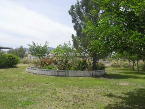 4581 Maple Road Pahrump, NV 89048 - Photo 7 of 7 Yard/Garden.