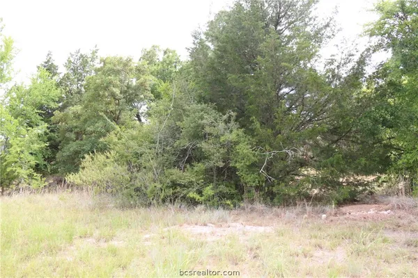 $89,000 | 2008 RA Galindo Boulevard, Bryan, TX 77807