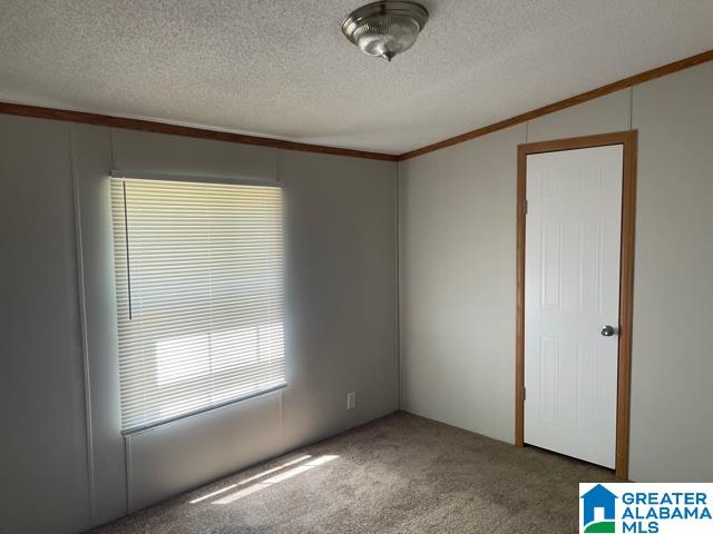 32 Pecan Road Plantersville, AL 36758 - Photo 38 of 38