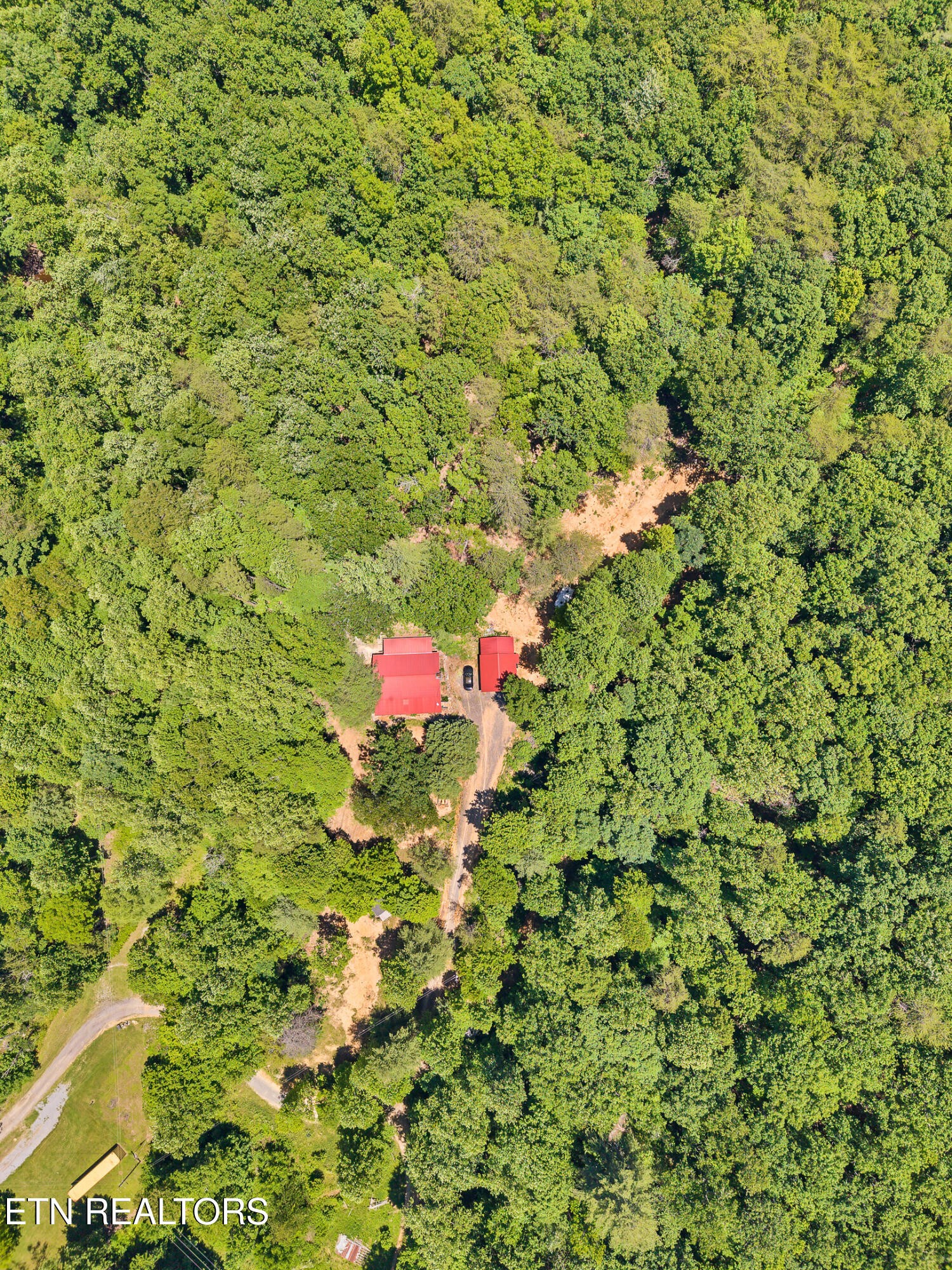 297 Dockery Road Tellico Plains, TN 37385 - Photo 18 of 23 Gallery Image 18