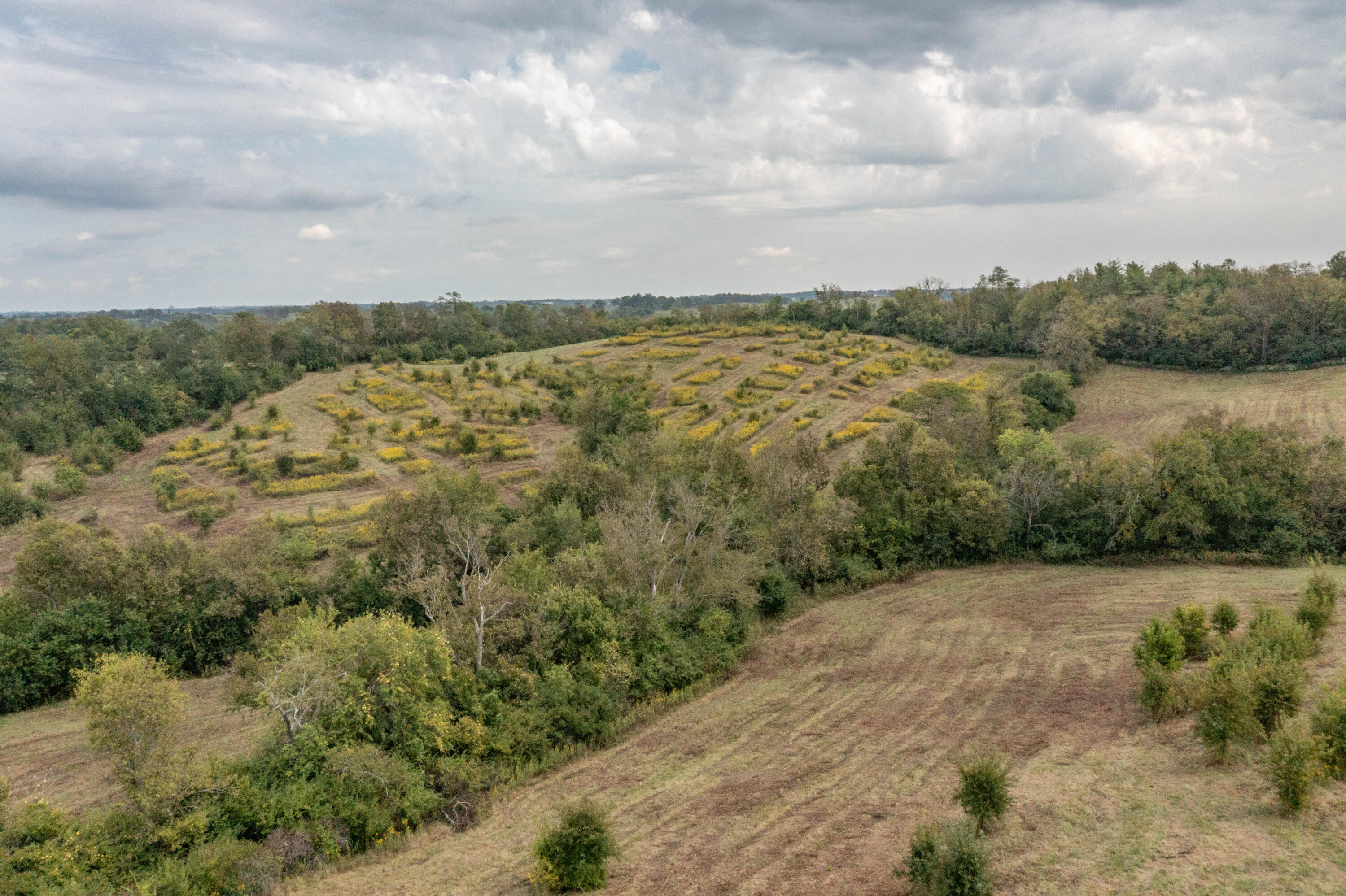 706 Stone Road Paris, KY 40361 - Photo 8 of 18 DJI_0360
