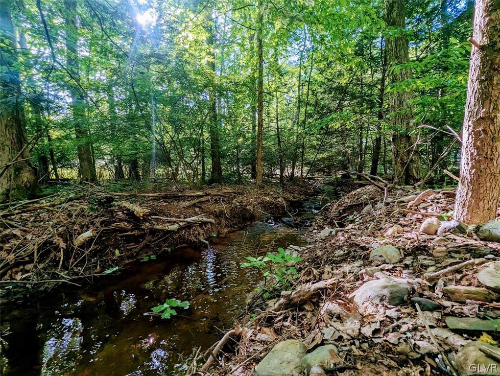 2461 Mountain Road Stroudsburg, PA 18360 - Photo 39 of 40 a view of a lush green forest with lots of trees