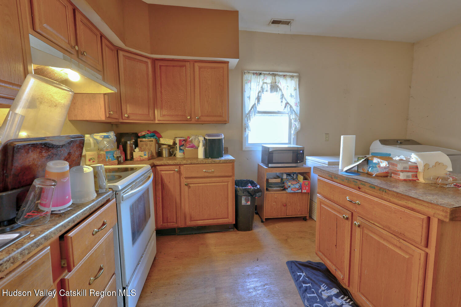 60 North Street Catskill, NY 12414 - Photo 16 of 50 a room with storage and utility