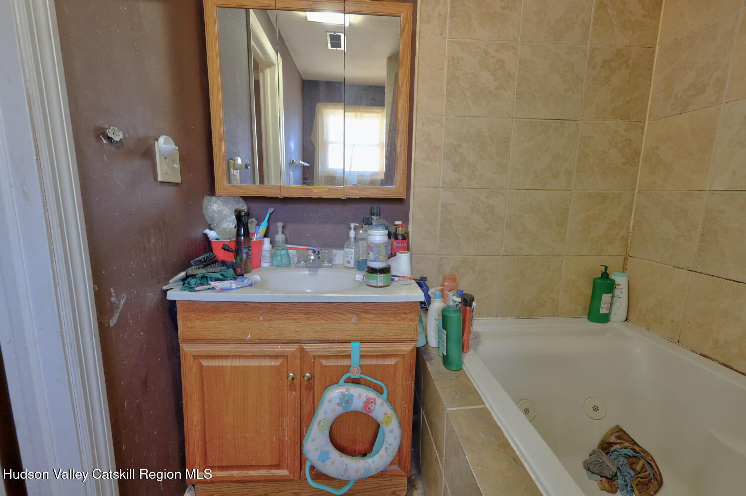 60 North Street Catskill, NY 12414 - Photo 21 of 50 a bathroom with a sink and a mirror