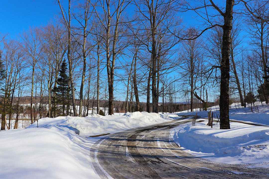 1455 East Hill Road Wolcott, VT 05680 - Photo 2 of 12