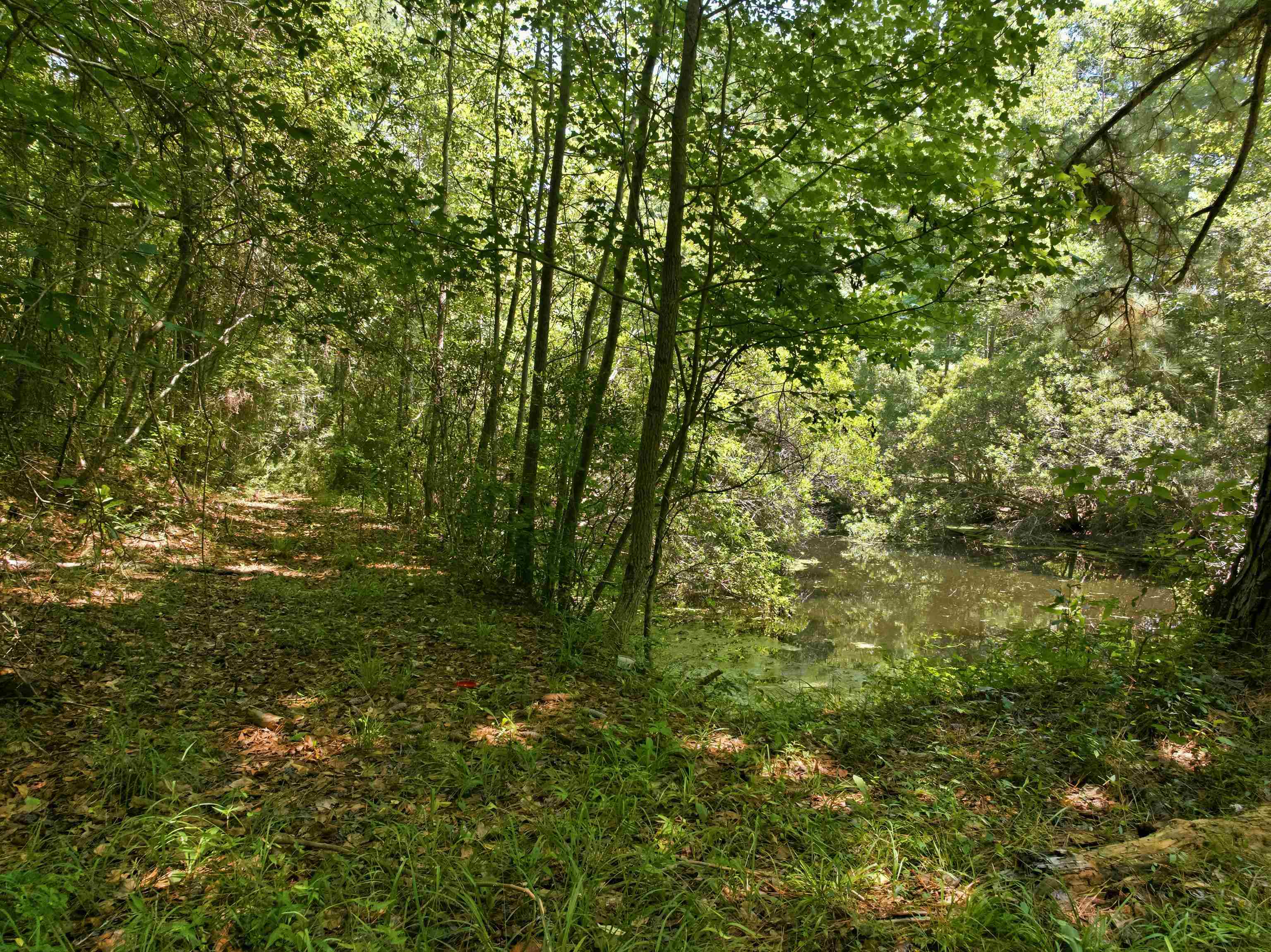 66 Highway 66 Conway, SC 29526 - Photo 7 of 21