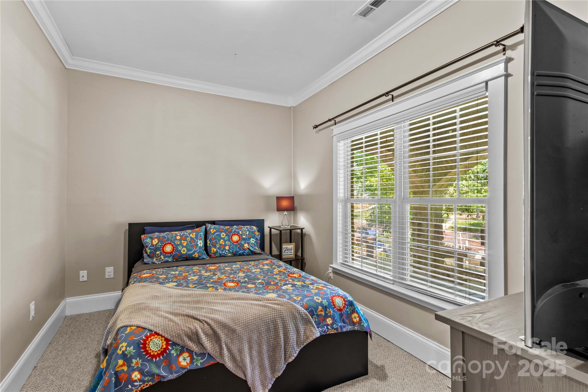 141 Ridgetop Road Mooresville, NC 28117 - Photo 38 of 41 Gallery Image 38