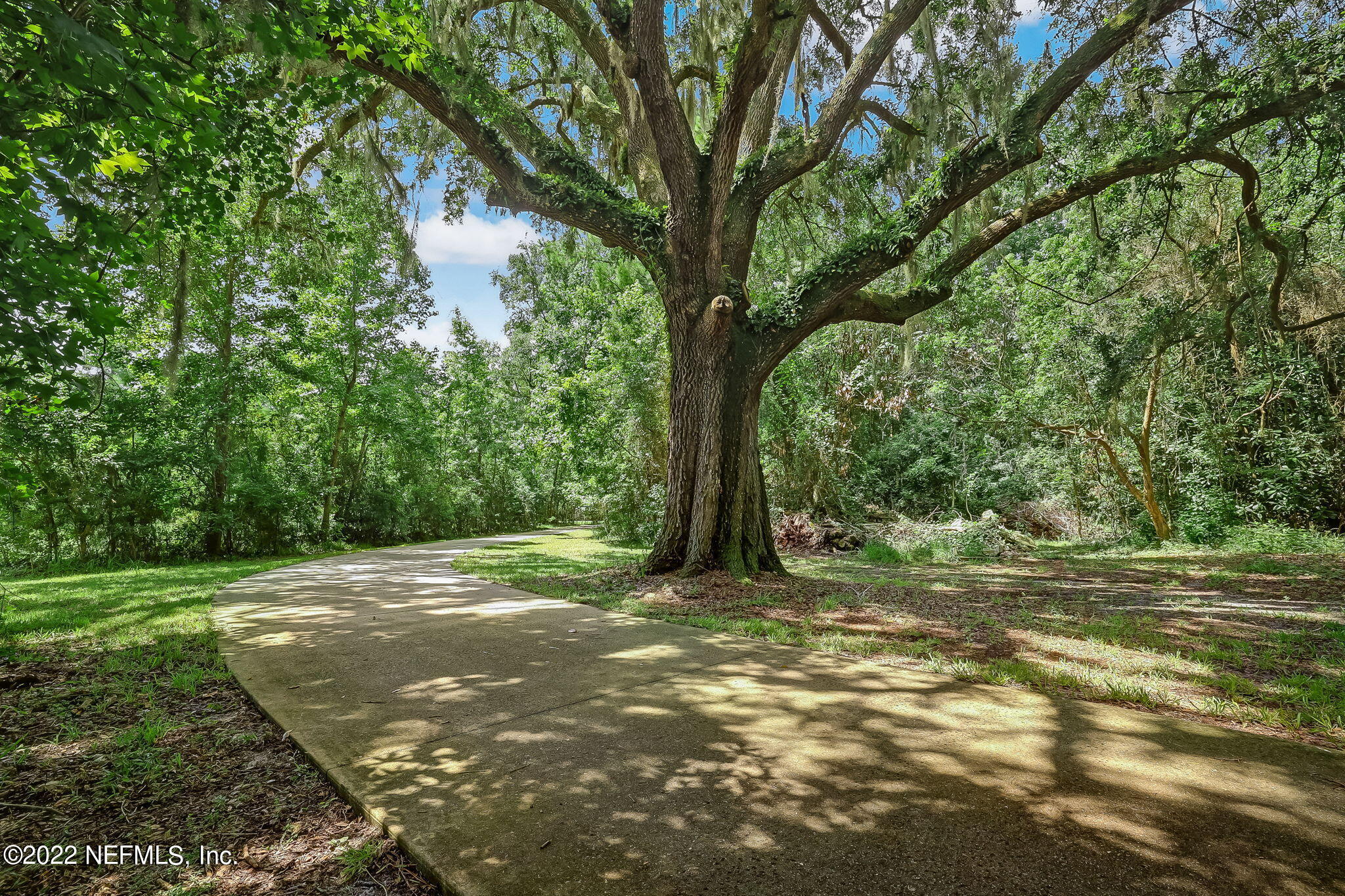 3001 Percy Road, Unit 1 & 2 Jacksonville, FL 32218 - Photo 4 of 60 4-web-or-mls-3_Percy Rd