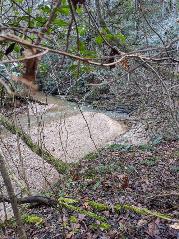 40.6-acres Wiles Ridge Road Hays, NC 28635 - Photo 3 of 18 Gallery Image 3