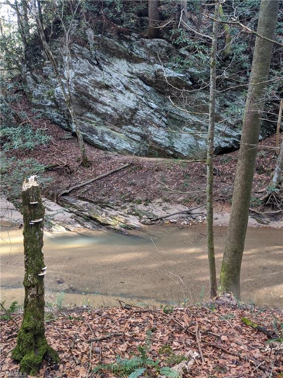 40.6-acres Wiles Ridge Road Hays, NC 28635 - Photo 4 of 18 Gallery Image 4