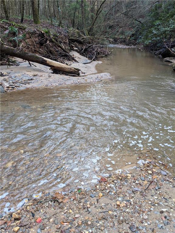 40.6-acres Wiles Ridge Road Hays, NC 28635 - Photo 6 of 18 Gallery Image 6
