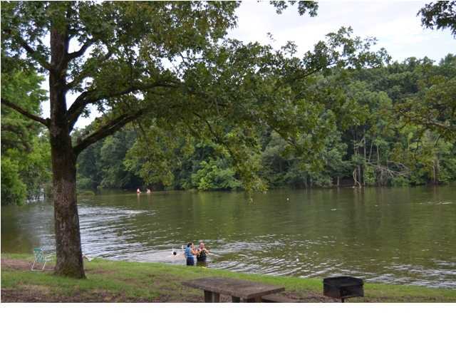 5930 Ramsey Forgey Road Harrison, TN 37341 - Photo 18 of 20 Additional Photo