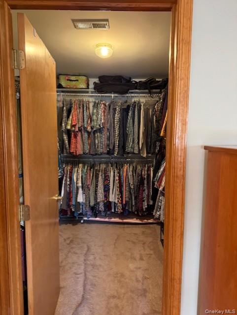 4 Grapevine Place Poughkeepsie, NY 12603 - Photo 20 of 31 a view of closet with clothes and shoes