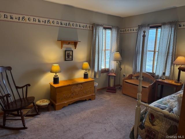 4 Grapevine Place Poughkeepsie, NY 12603 - Photo 22 of 31 a living room with furniture and a window