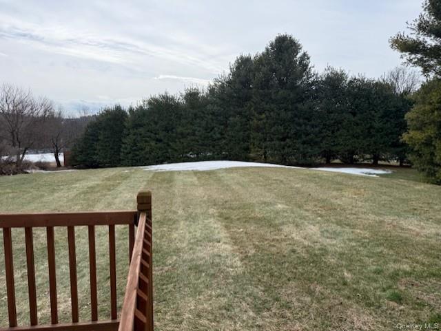 4 Grapevine Place Poughkeepsie, NY 12603 - Photo 27 of 31 a view of a garden