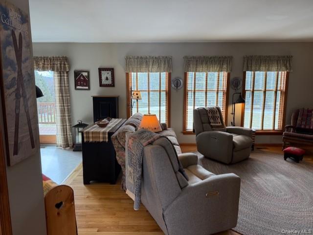 4 Grapevine Place Poughkeepsie, NY 12603 - Photo 5 of 31 a living room with furniture and a flat screen tv