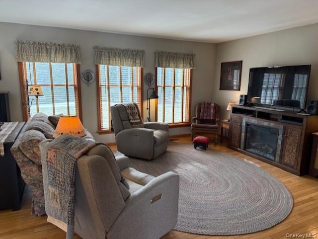 4 Grapevine Place Poughkeepsie, NY 12603 - Photo 6 of 31 a living room with furniture a flat screen tv and a fireplace