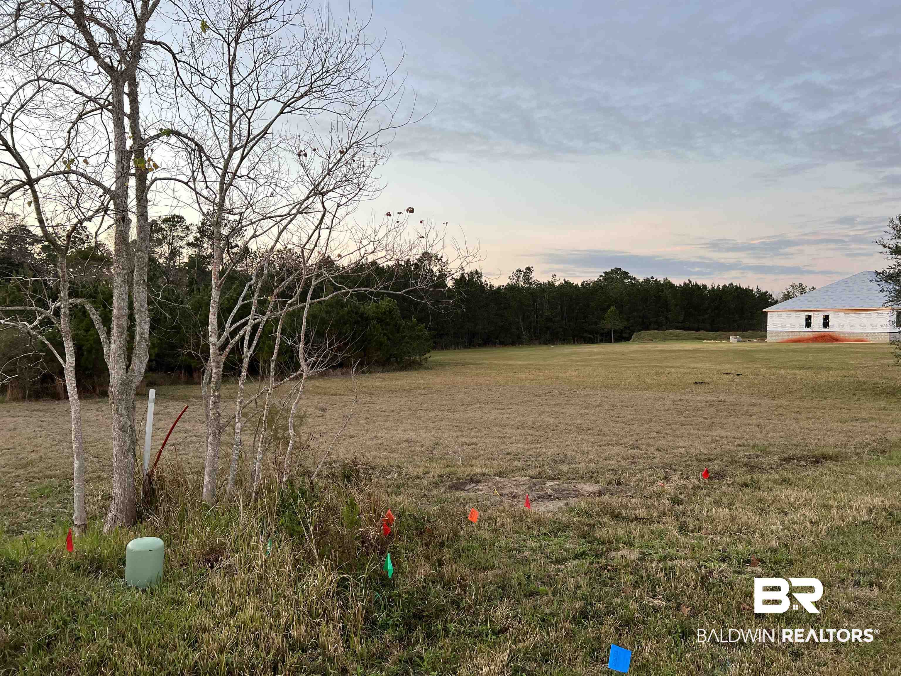 23331 Balsam Creek Drive Elberta, AL 36530 - Photo 10 of 17