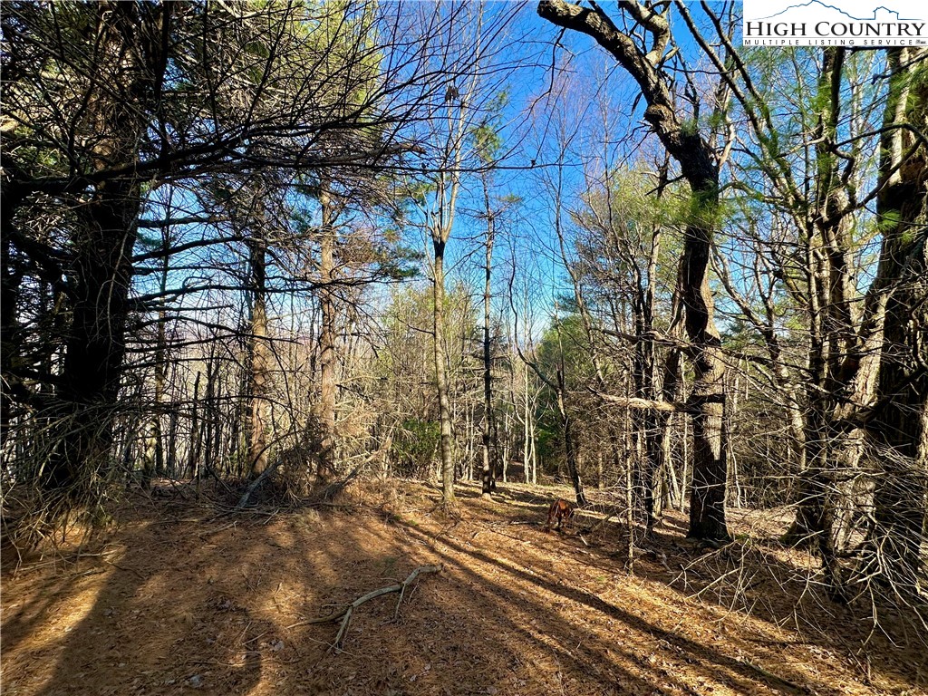 Don Hayes Road Boone, NC 28607 - Photo 17 of 26 Gallery Image 17