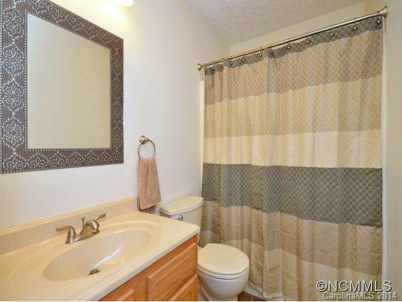 193 Brookshire Road Leicester, NC 28748 - Photo 8 of 11
