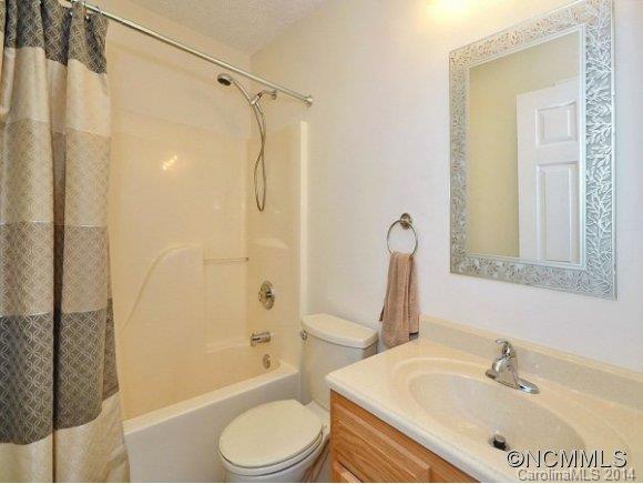 193 Brookshire Road Leicester, NC 28748 - Photo 10 of 11