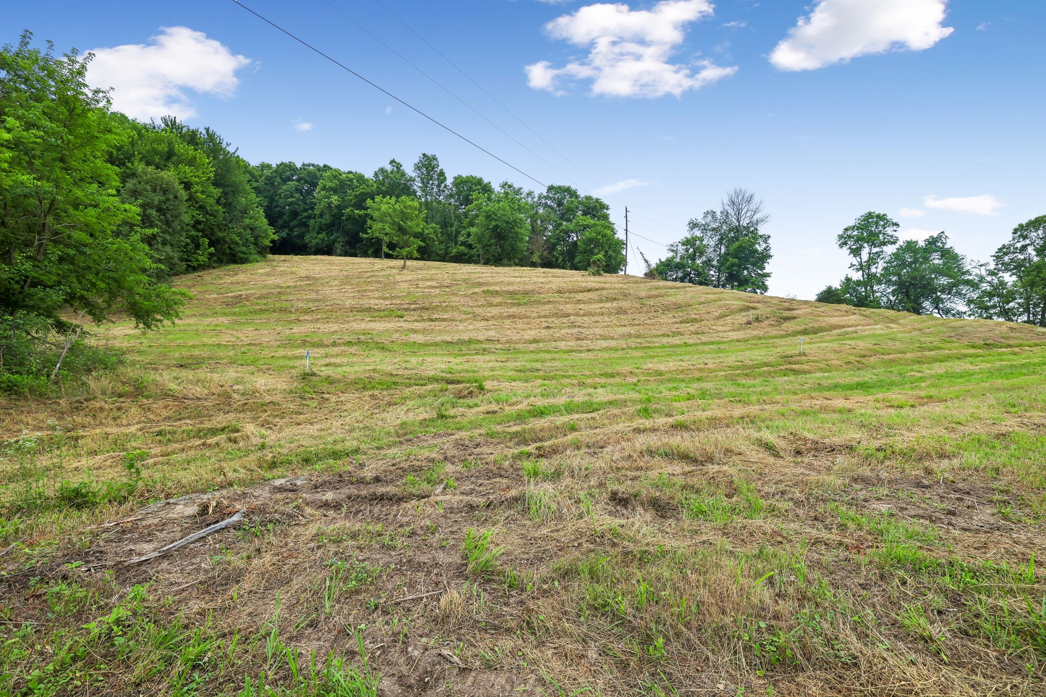 0 Hix Road Gordonsville, TN 38563 - Photo 11 of 37
