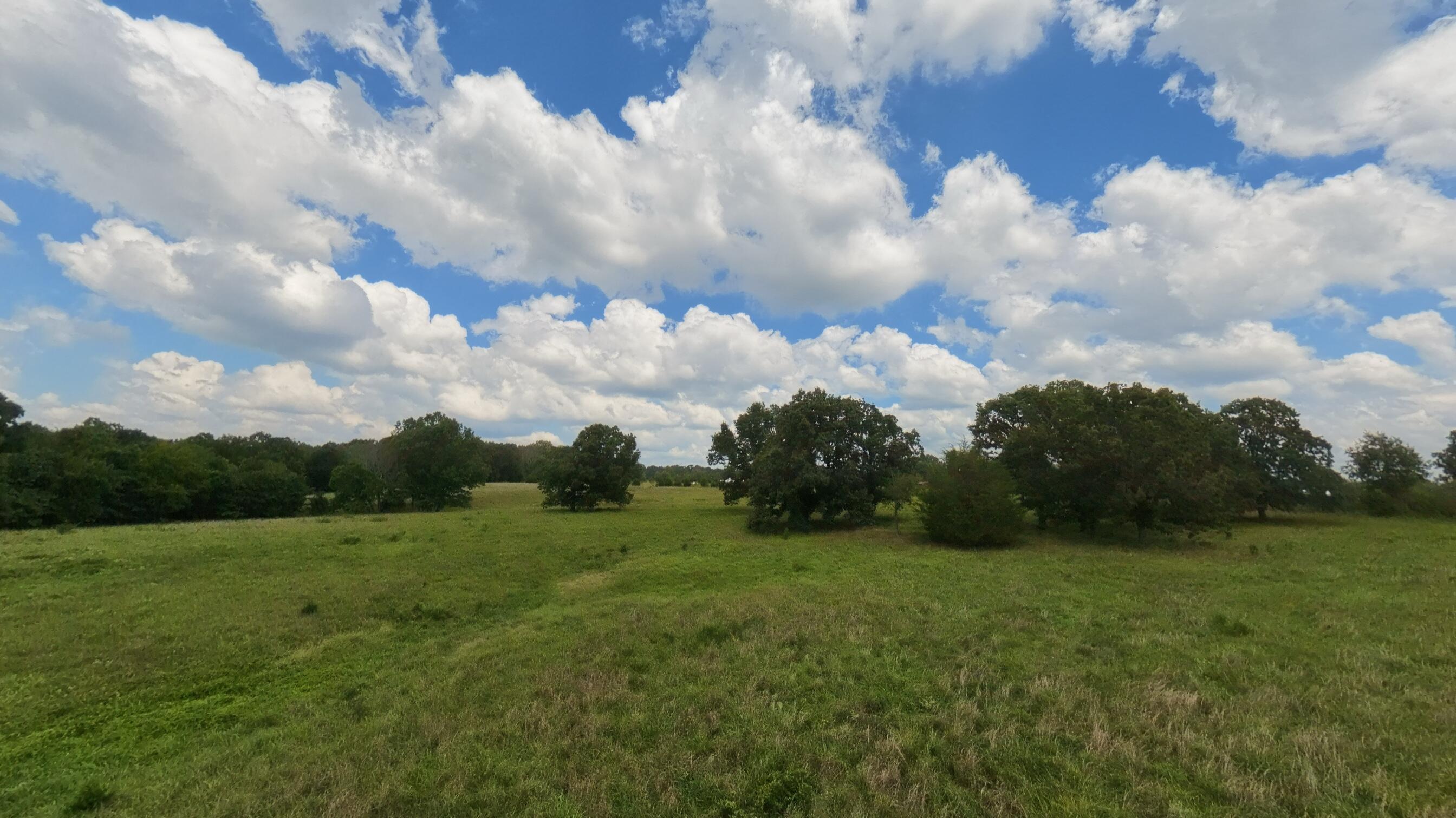 189 East Wirth Road Mammoth Spring, AR 72554 - Photo 38 of 125 160 acre ranch property049