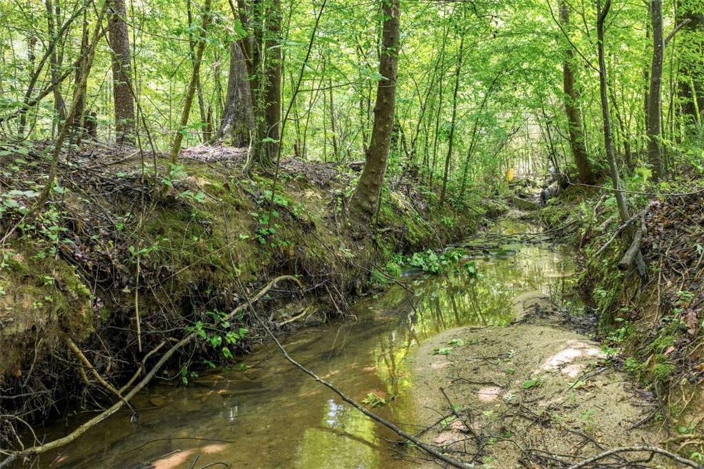 701 Sunshine Road Toccoa, GA 30577 - Photo 48 of 51