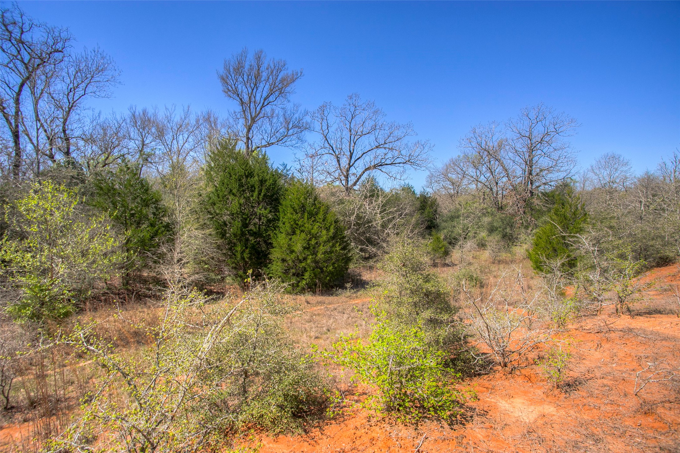 482 County Road 482 Normangee, TX 77871 - Photo 34 of 49