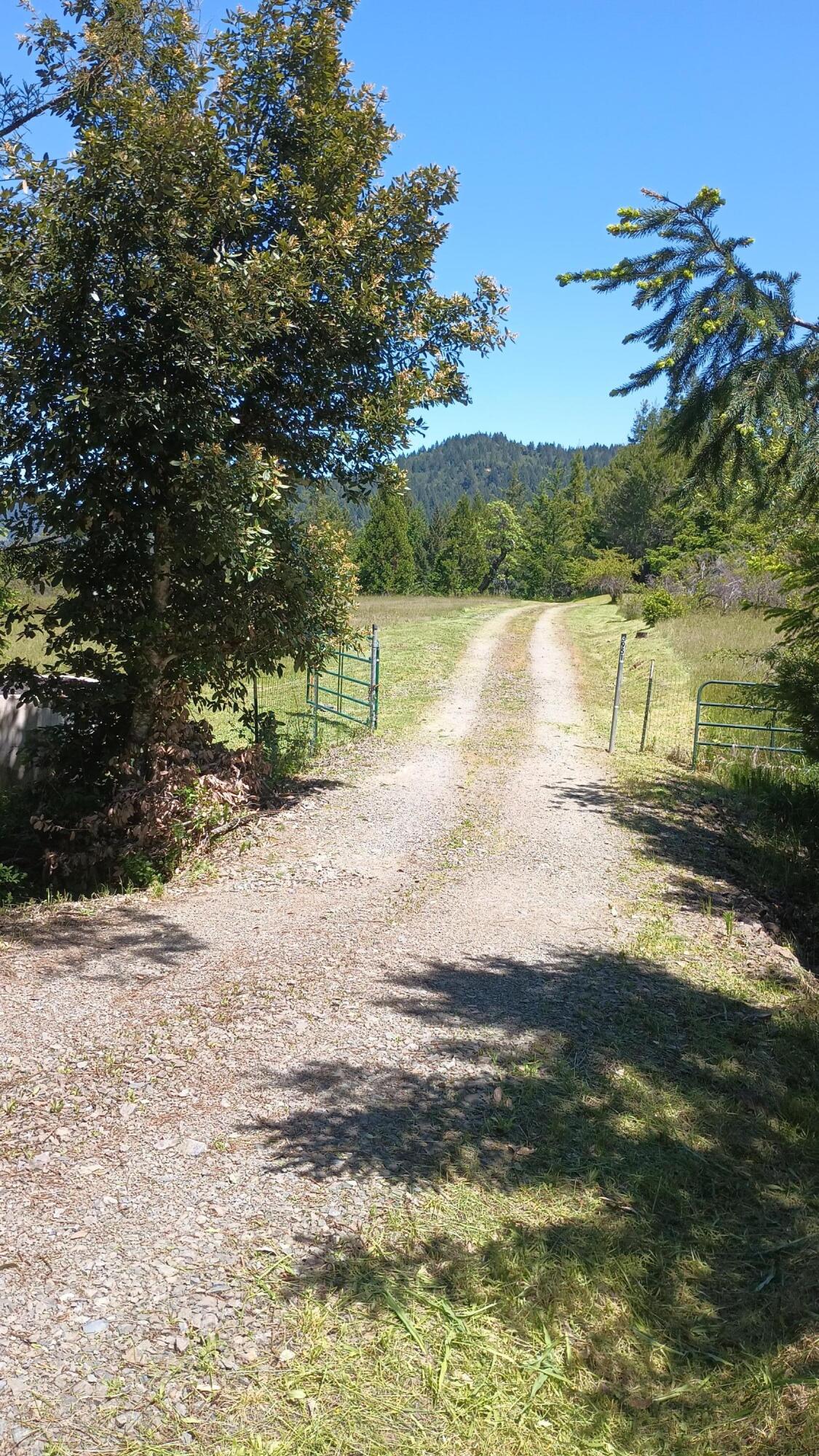 3951 Upper Thomas Early Ranch Road Miranda, CA 95553 - Photo 51 of 57