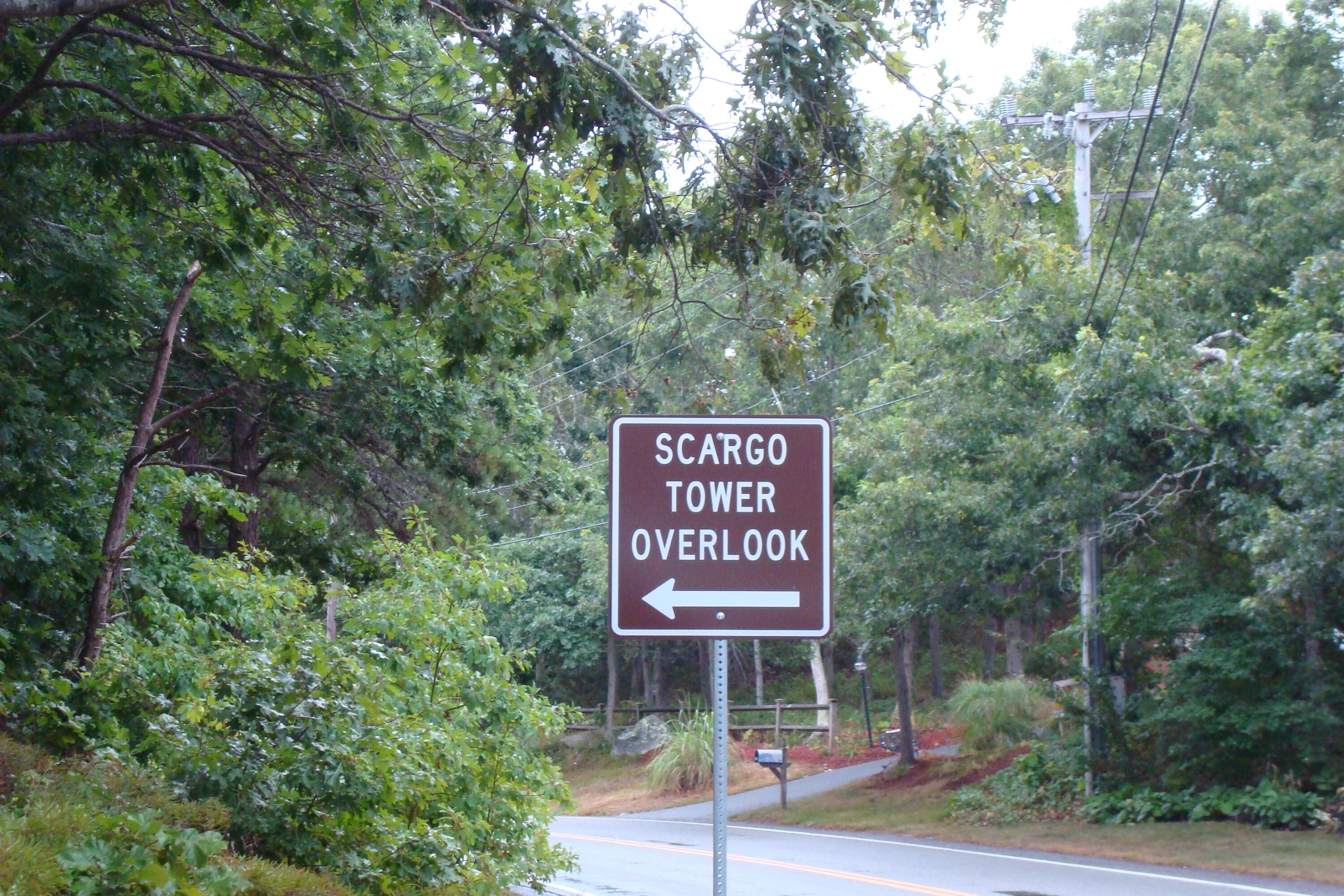 336 Setucket Road East Dennis, MA 02638 - Photo 11 of 11 DSC04110