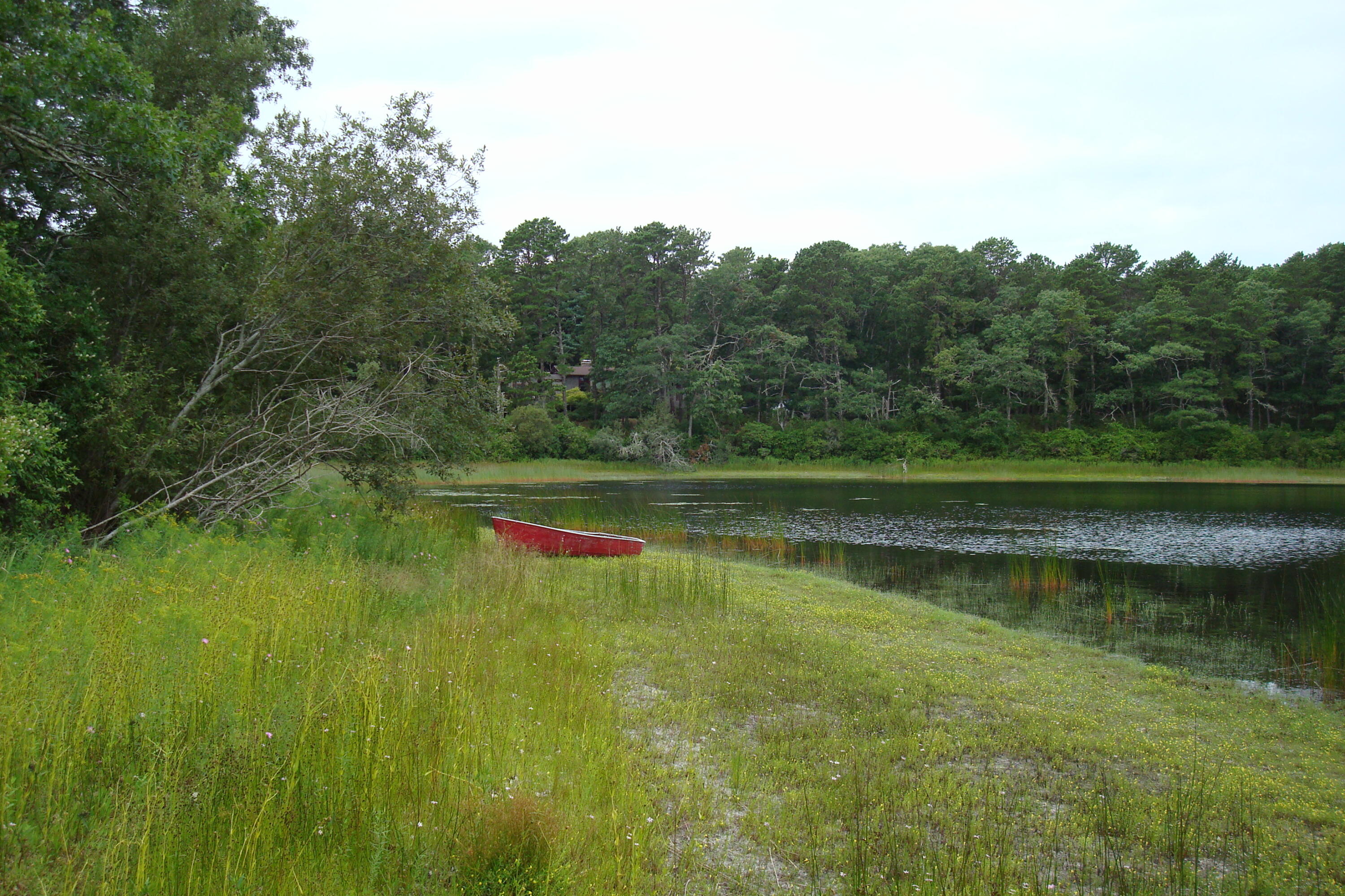336 Setucket Road East Dennis, MA 02638 - Photo 2 of 11 DSC04098