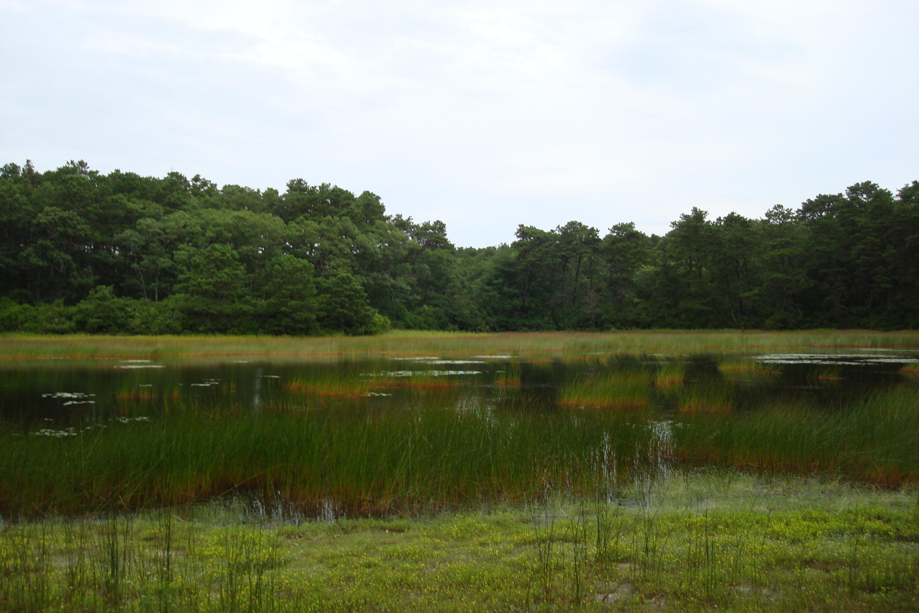 336 Setucket Road East Dennis, MA 02638 - Photo 3 of 11 DSC04101