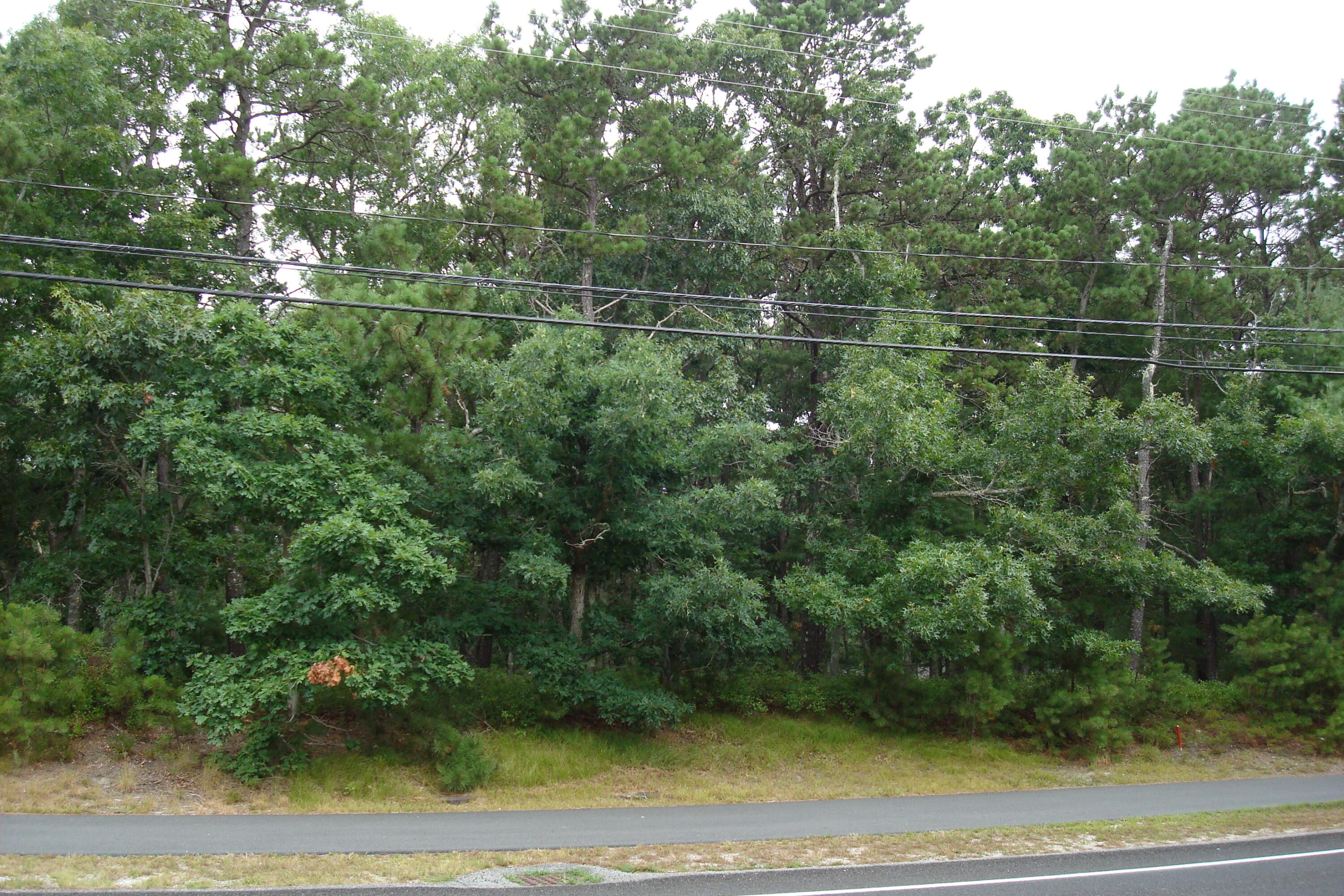 336 Setucket Road East Dennis, MA 02638 - Photo 4 of 11 DSC04104