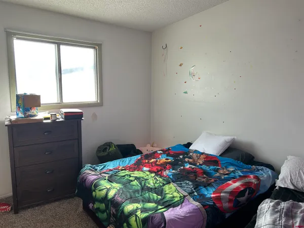 a bedroom with a bed and a dresser