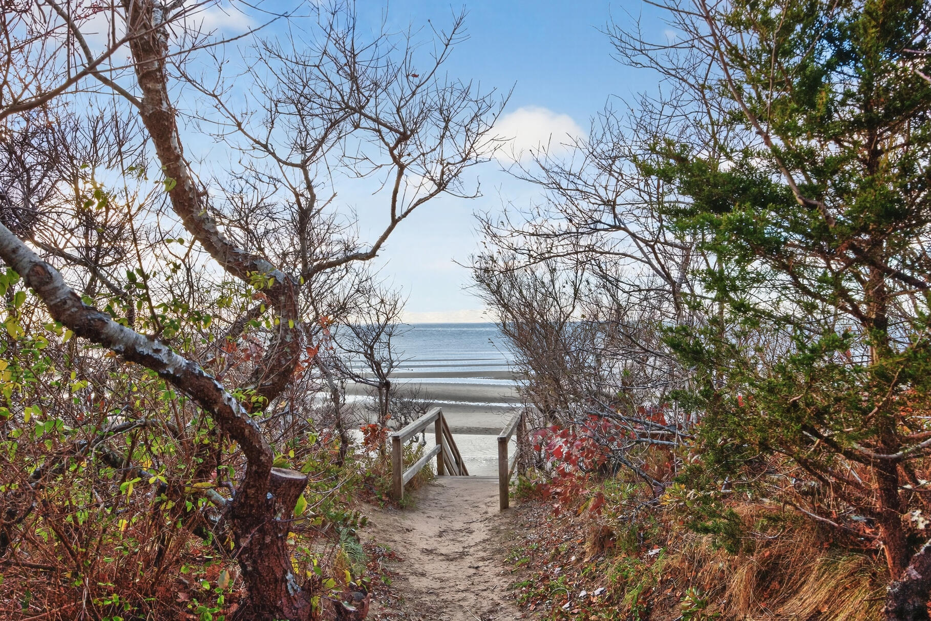 20 Boreen Road Eastham, MA 02642 - Photo 5 of 57 Private Beach Access