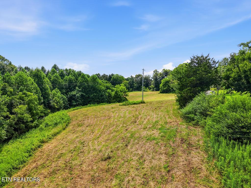 0 Freewill Ridge Road Gainesboro, TN 38562 - Photo 10 of 14 259_Freewill_Ridge_Road_Gainesboro_010
